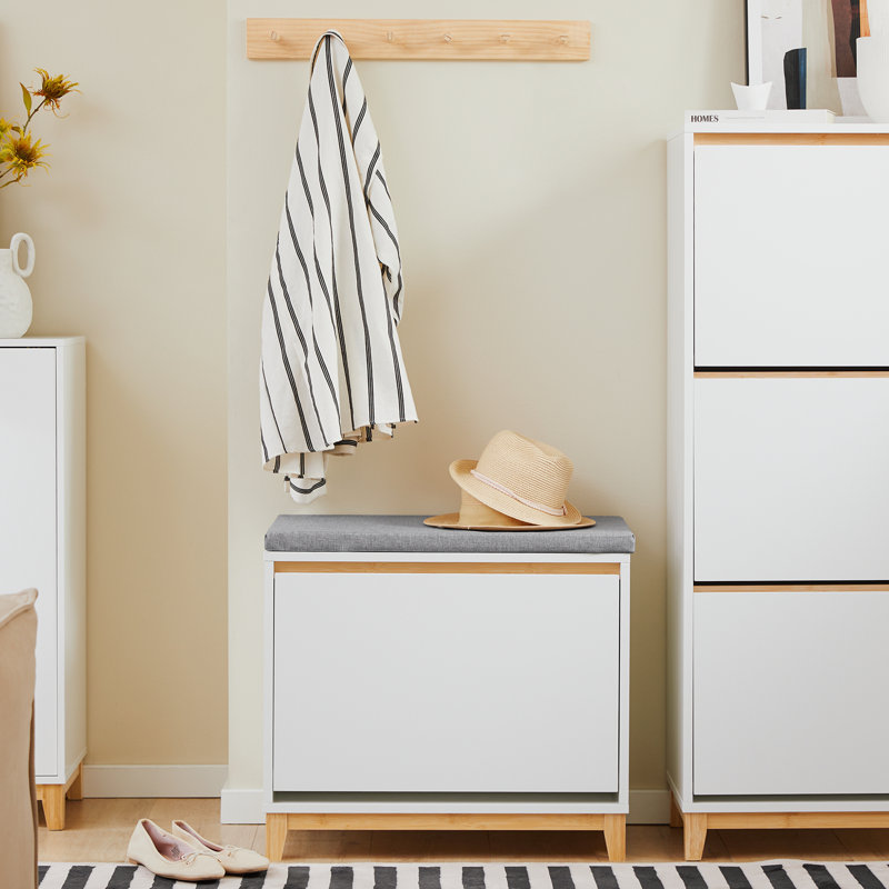 Camylle Shoe Storage Cabinet