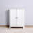 Storage Cabinet With Double Door