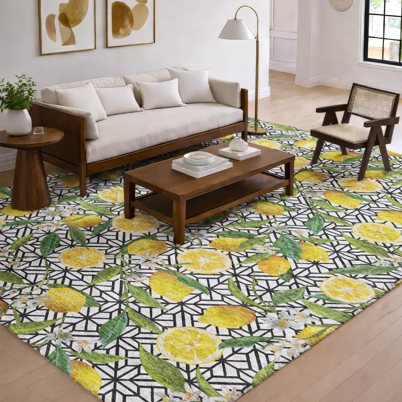 Tapis lavable à la machine de qualité supérieure ADS160, 3 pi x 5 pi