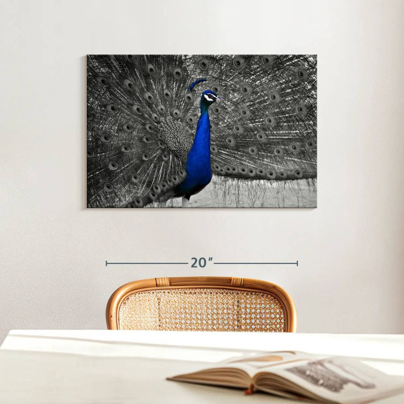 Brampt Peacock Pop, 16" H x 24" W