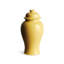Ricki Ceramic Ginger Jar-1488949451-1513130398