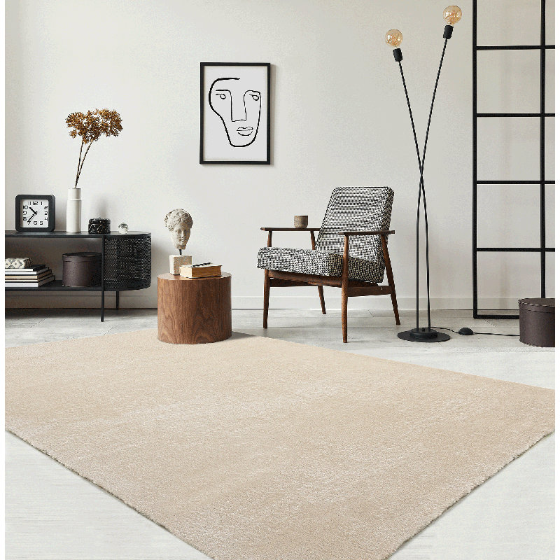 Taurasi Area Rug, Rectangle 300 x 400 cm