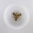 3-Light Tapered Glass Semi Flush Mount