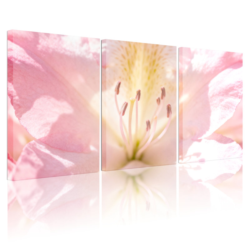 Ensemble de 3 tableaux sur toile tendue représentant des fleurs roses en gros plan, pour la décoration du salon et de la chambre.