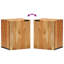 Wall Bathroom Cabinet