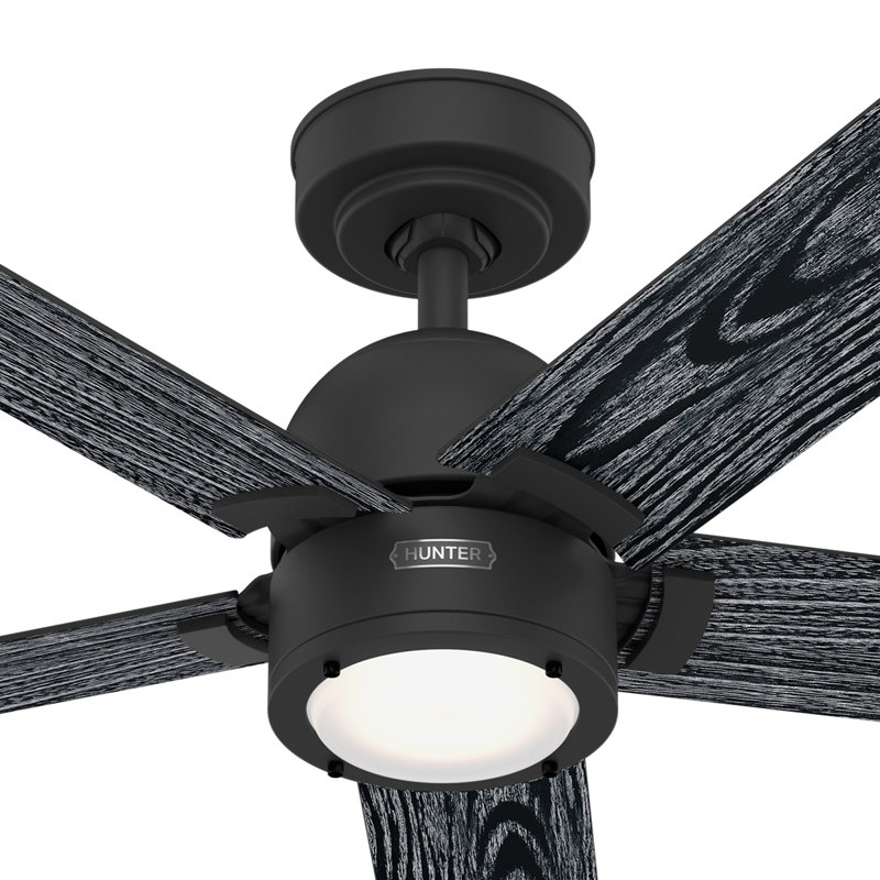 Erling Matte Black 52" Ceiling Fan with LED Light and Remote