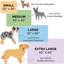 Couverture pour animaux-97748434