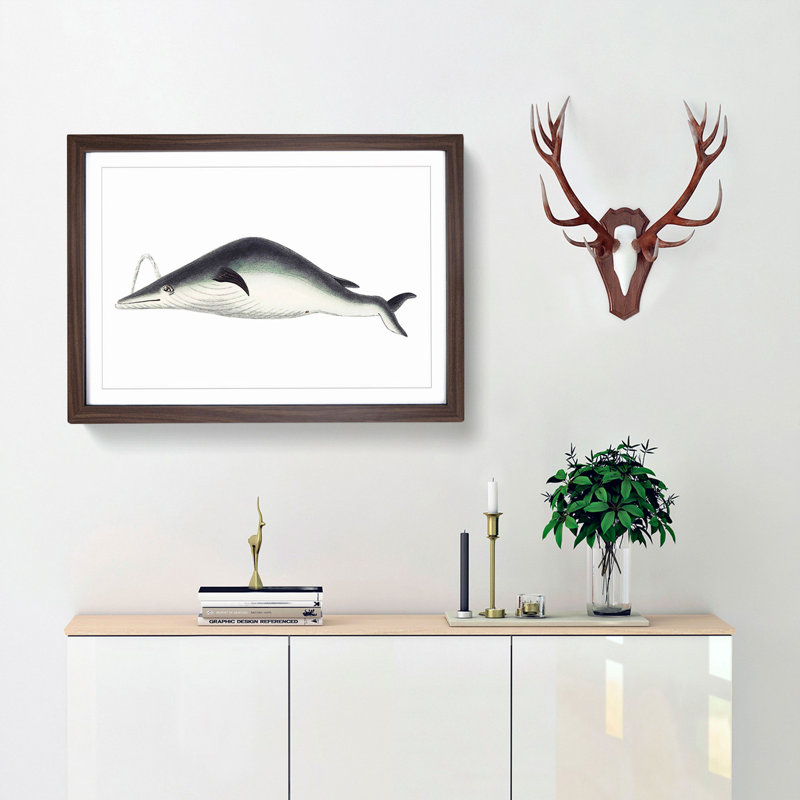 Whale by George Shaw - Picture Frame Painting Print, Walnut Framed, 27cm H x 36cm W x 2cm D