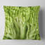 Housse de coussin carré et insert-1601991710