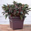 Pot à fleurs carré intérieur / extérieur Novelty-105900408-105900407