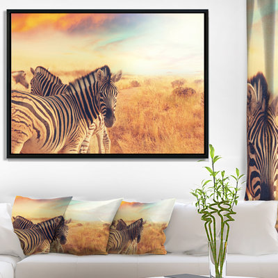 " African Zebras Herd In Field At Sunset Graphic Art "
