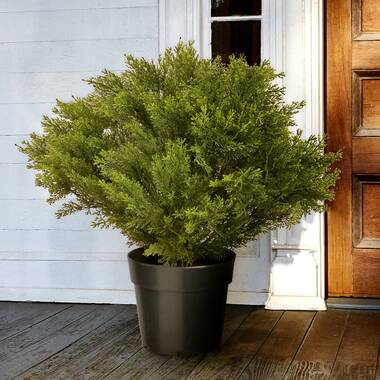 28 HGTV Home Collection Pre-Lit Holly and Berry Planter Filler – National  Tree Company