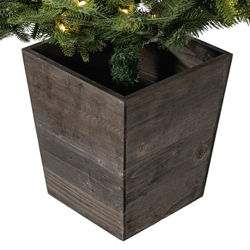 4' H Lighted Artificial Pine Christmas Tree