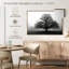 Arbre dans la brume-32296346-32296350