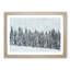 Points of the Trees - Framed Print-56758569-56758570
