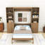 Queen Murphy Bed with Storage Shelves and Cabinets