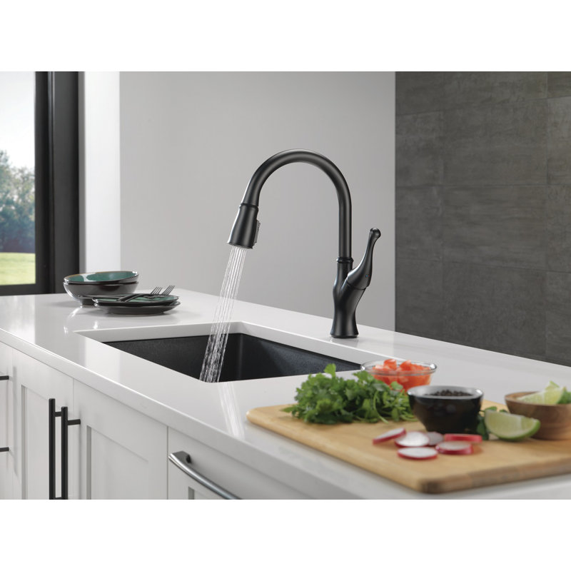 Ophelia Pull Down Single Handle Kitchen Faucet, Matte Black