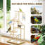Bird Stand