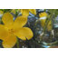 Glass Sphere Bud Vase-768581686