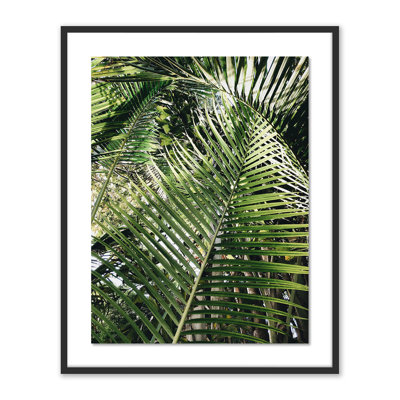 Palm I Print by Vitaliy Paykov