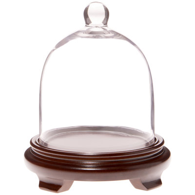6" x 7" Bell Jar Glass Display Dome Cloche