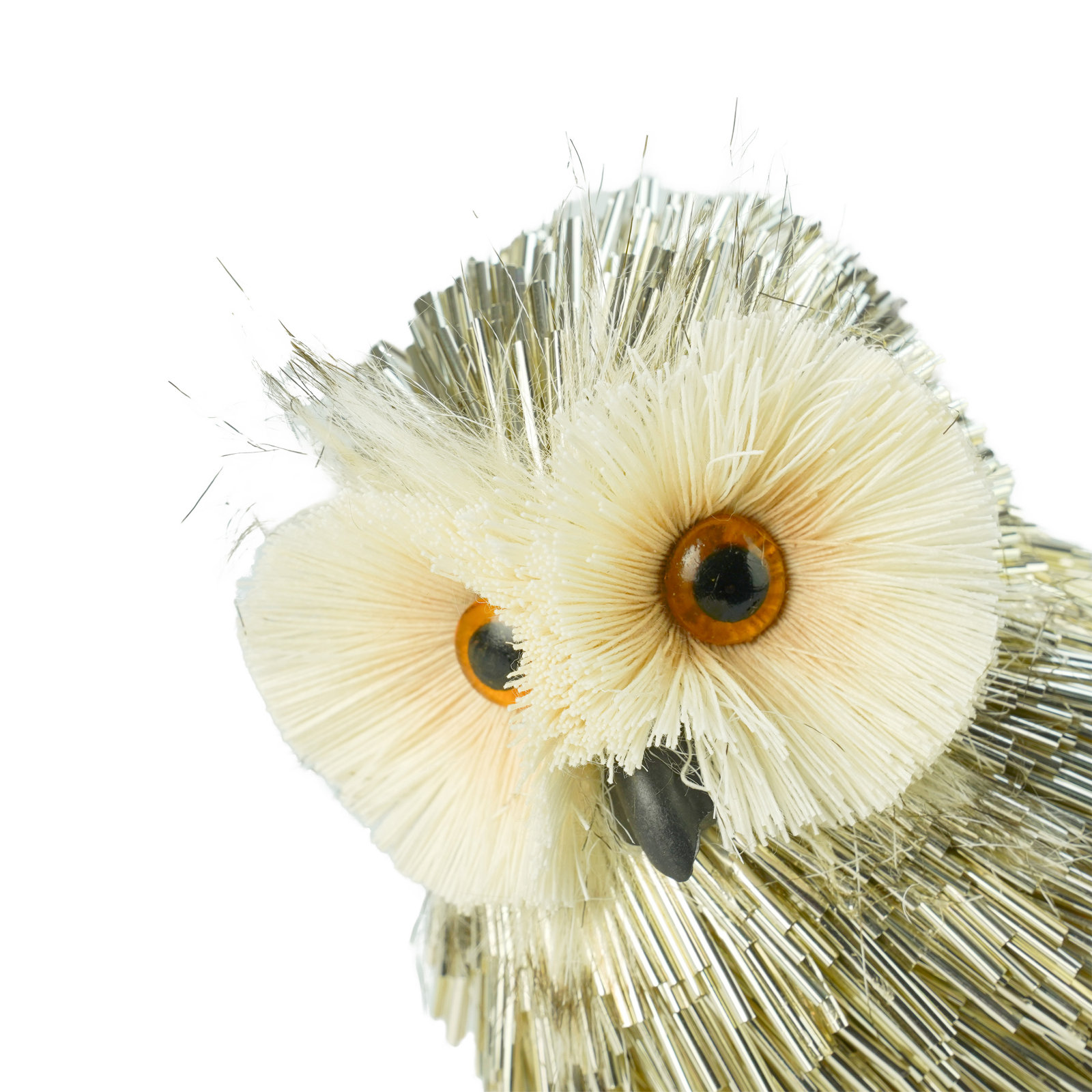 Pipa Owl - Tail Side