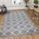 Effron Trellis Cotton Hand Woven Area Rug Set
