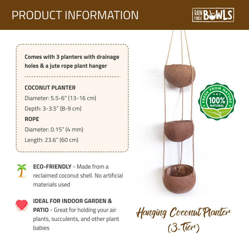 Rainforest Bowls 3-Tier Coconut Hanging Planter, 4