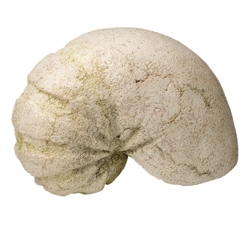 Ciccone Stone Figurine / Sculpture Decorative Object