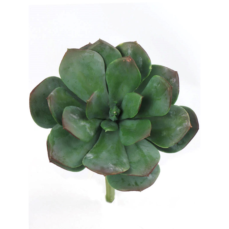 Plante grasse artificielle de 8 po