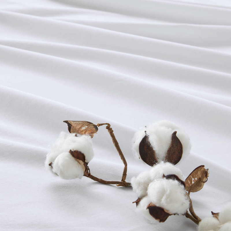 Ensemble de draps 100% coton 144TC, Blanc, Ensemble de draps pour lit simple avec 1 taie d'or