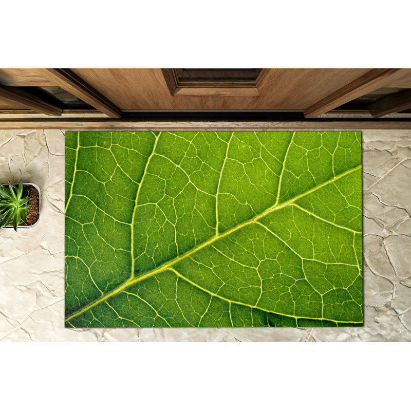 Non-Slip Outdoor Doormat