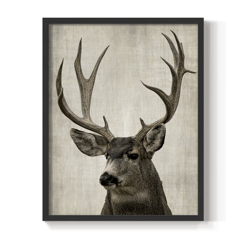 Impression encadrée Colorado Buck - bois massif, H 11 po x l 9 po, Noir, noir, noir, noir