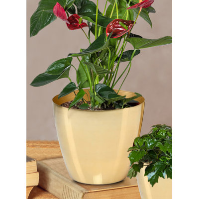 Ensemble de cache-pots en métal Dawoud