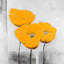 Three Yellow Flowers - Floral Bedroom Canvas Art | Home Decor