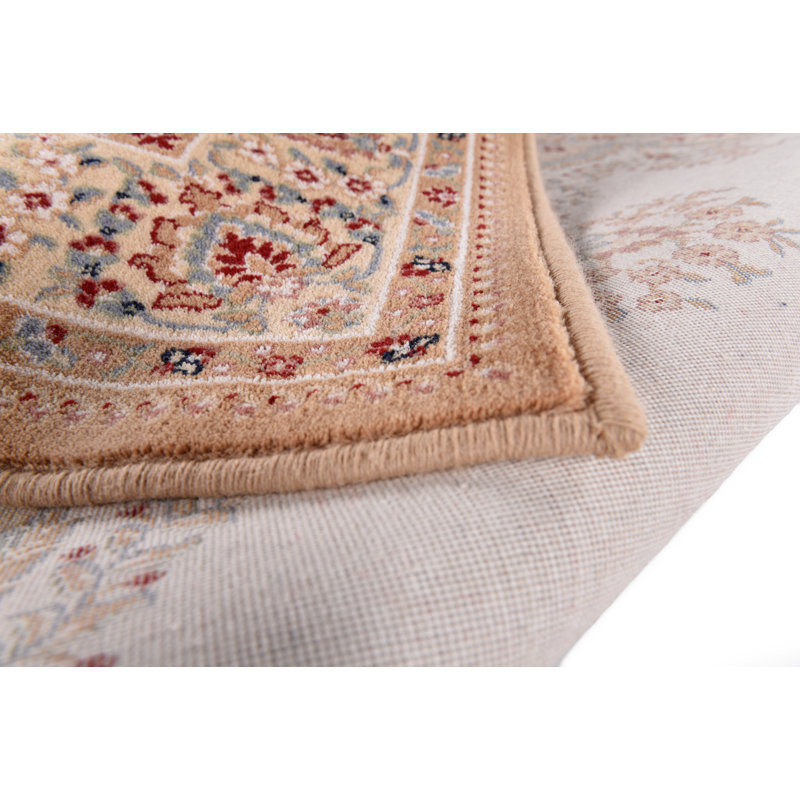 Oriental Area Rug, Rectangular 240 x 340cm