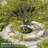 Semicircular Round Outdoor Bench, Wooden Garden Bench