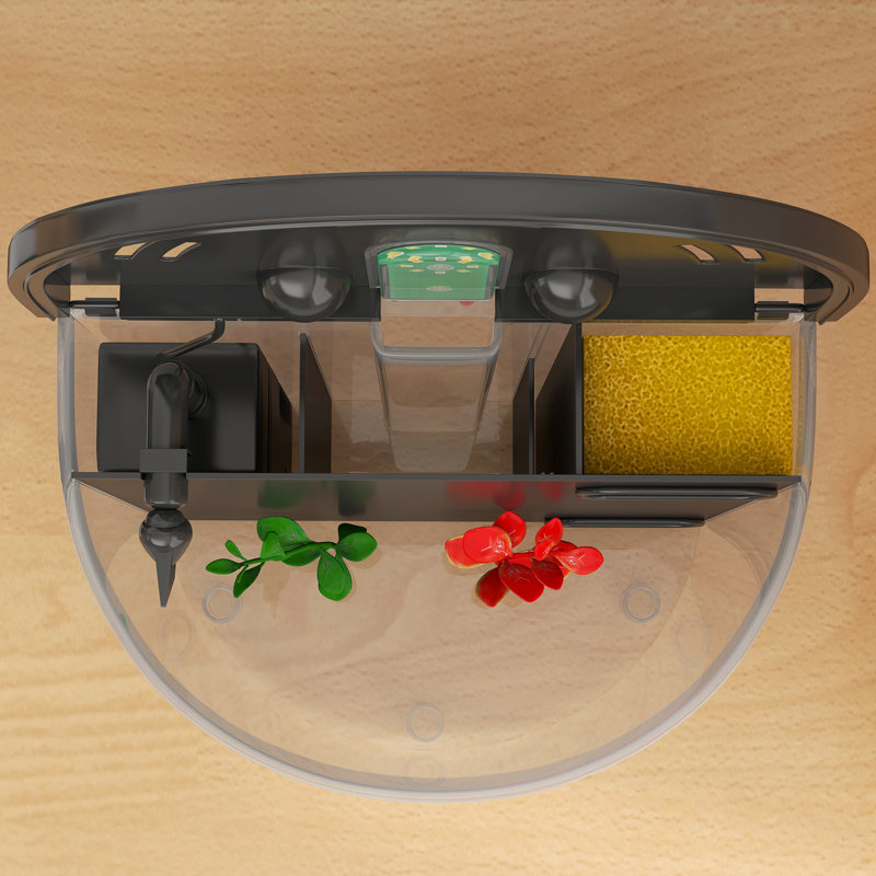 Aquarium