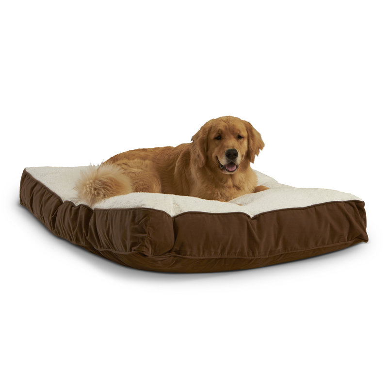 Lit pour chien Olivarez Classic, Grand (L 48 po x l 36 po x H 6 po), Café au lait