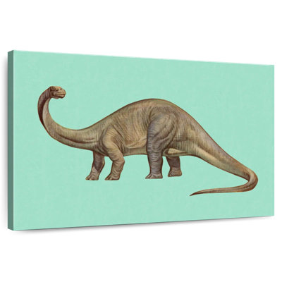 Brontosaurus Illustration
