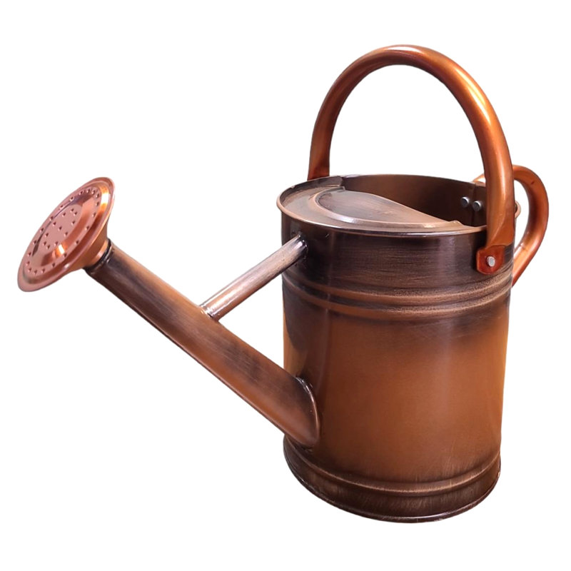 Outils de jardinage pour arrosoir Lexi Home, Cuivre