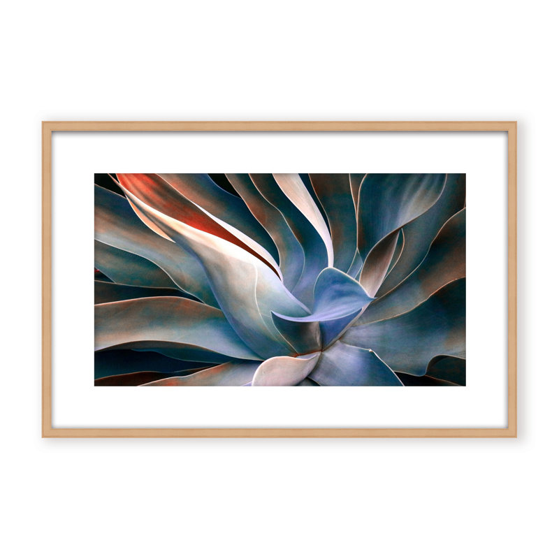 Nature Inspired The Colors in Leaves by  - Picture Frame Graphic Art on Paper, 32" H x 48" W x 1.125" D, Black