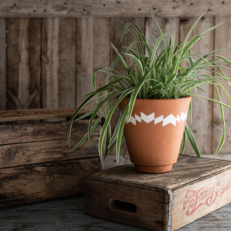 Pot de fleurs en terre cuite