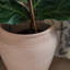 Rhea Terracotta Planter H29cm D27cm