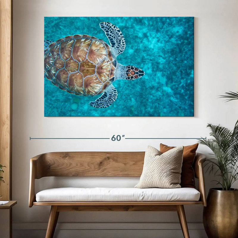 Natation tortue imbriquée, H 34 po x l 51 po