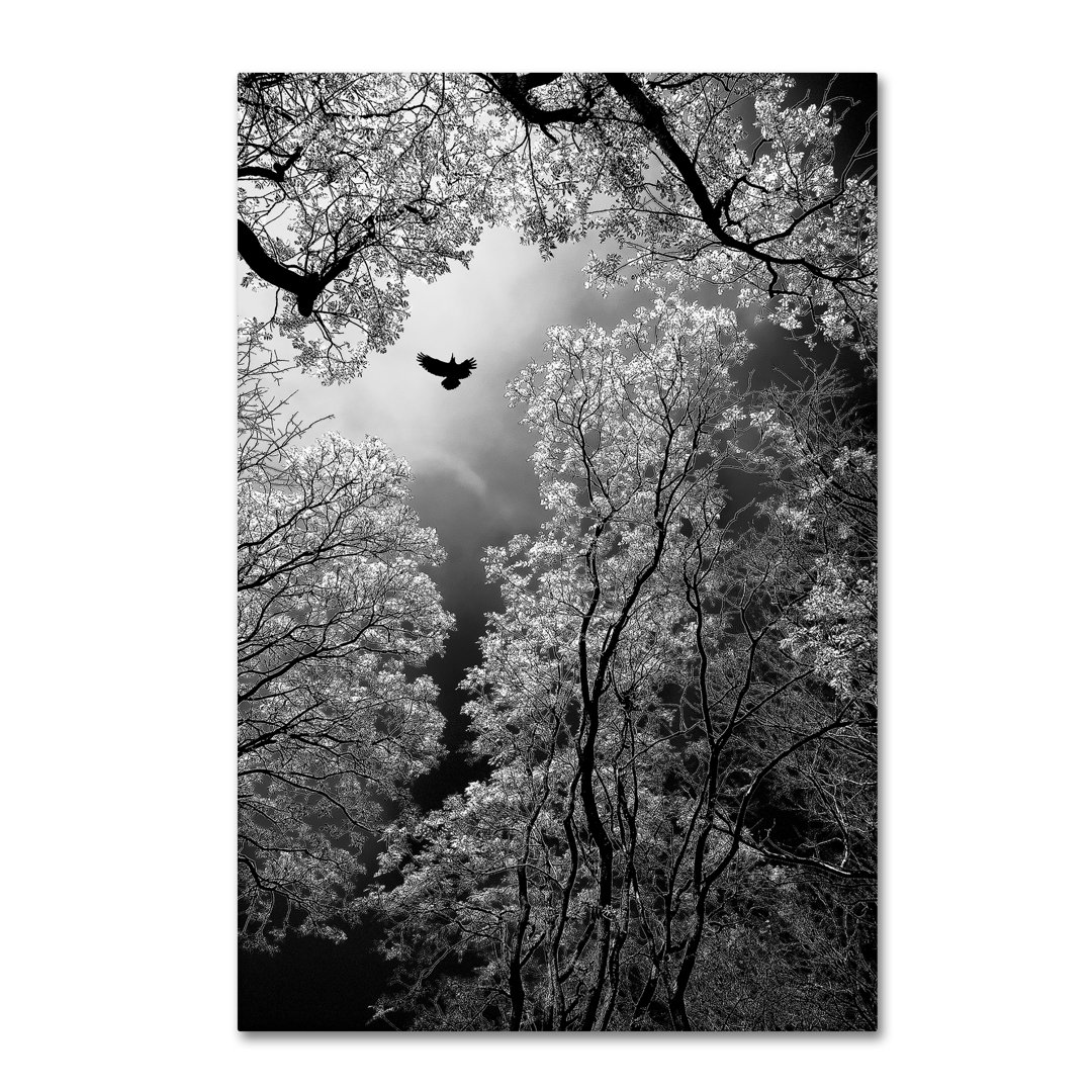 Modern & Contemporary Ebern Designs 