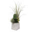 Faux Succulent, Airplant (Tillandsia), Cactus Succulent in Stone Pot