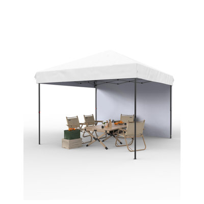 10x10 Pop Up Canopy Tent Outdoor Canopy with 4 Removable Sidewalls Heavy Duty Commercial Instant Tent Shelter (10x10FT/1 Side Wall)