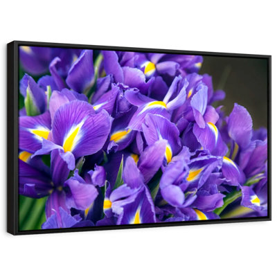 Violet Irises Canvas Print