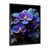 Black Single Picture Framed selected
